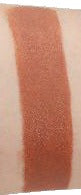 Caramel Nude - Elegant Matte Lipstick